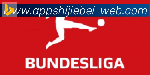 2026世界杯APP下载合作伙伴